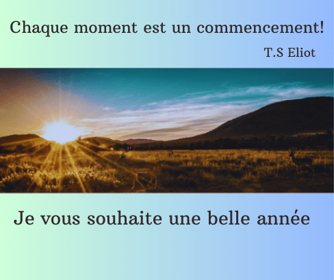 Bonne annee 2024 site