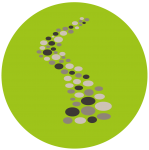 Lo 8