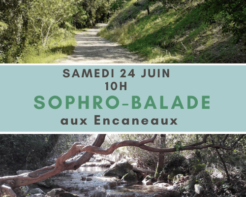Sophro balade 24 juin 2023 site